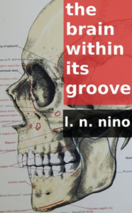 the brain within its groove review