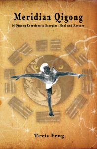 Meridian Qigong book