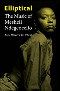 Elliptical: The Music of Meshell Ndegeocello