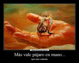 masvalepajaroenmanoqcienvolando