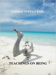 Teachings on Being by Codrin Stefan Tapu