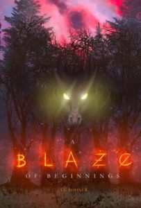 A Blaze of Beginnings by A.K. Rohner