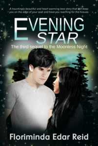 Evening Star by Floriminda Edar Reid (Book 3 of Moonless Night)