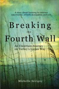 Breaking the Fourth Wall by Michelle Sevigny