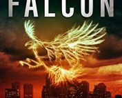 Raging Falcon by Stephen Perkins