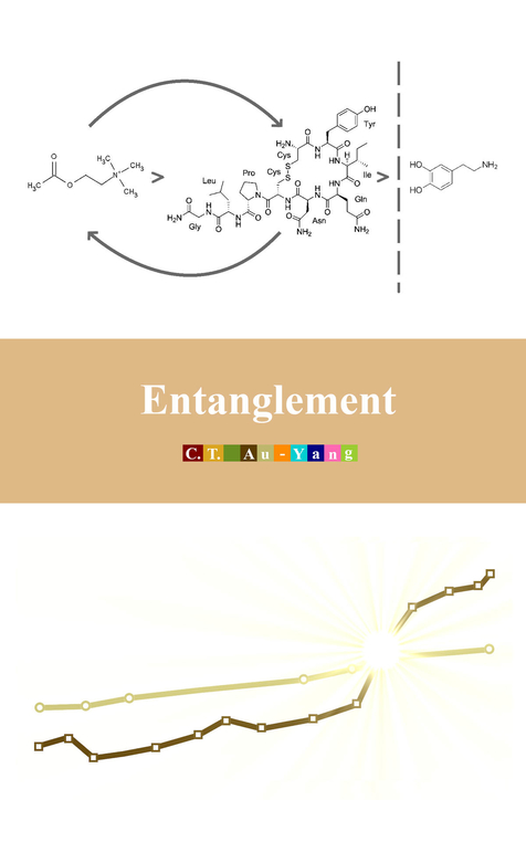 Entanglement by C.T. Au-Yang