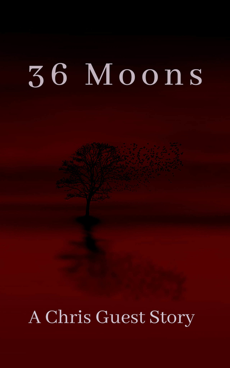 36 Moons by Chris Guest