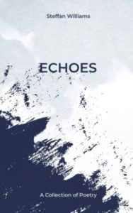 Echoes by Steffan Williams