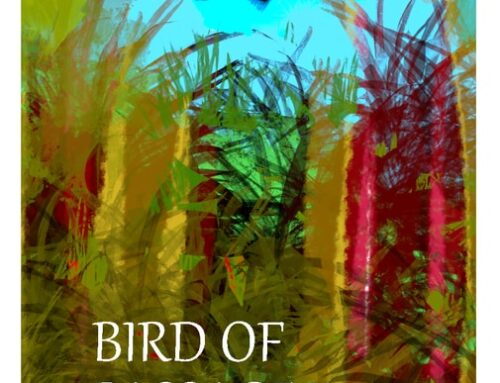 Review: Bird of Passage by Dr. Nooshie Motaref