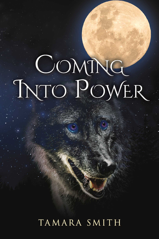 Coming Into Power by Tamara Smith