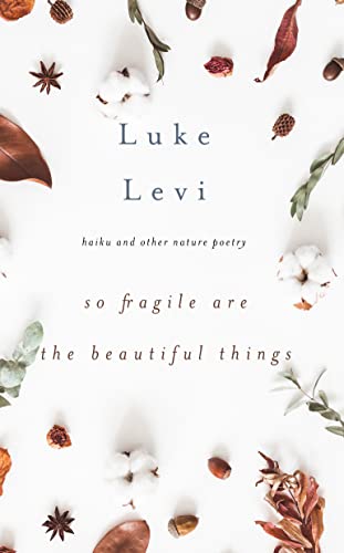 So Fragile Are the Beautiful Things by Luke Levi