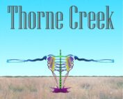 Shades of Thorne Creek by Alan Havorka