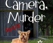 Lights, Camera, Murder by Lisa Shay