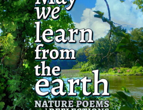 Review: May We Learn From the Earth by Robert J. Tiess