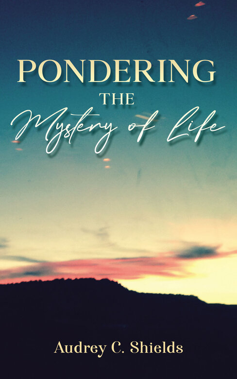 Pondering the Mystery of Life by Audrey Shields