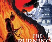 The Burning Bandit by Lauren Louise Hazel