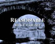 Reasonable by K.T. Carlisle