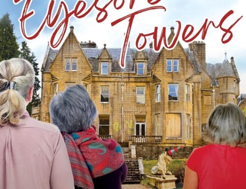 The Ladies of Eyesore Towers by Janet Hutcheon