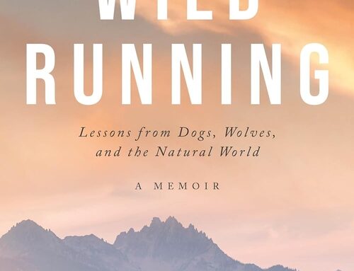 Wild Running by Rebecca Wallick
