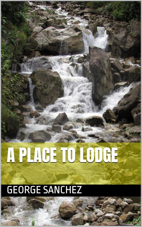 A Place to Lodge by George Sanchez