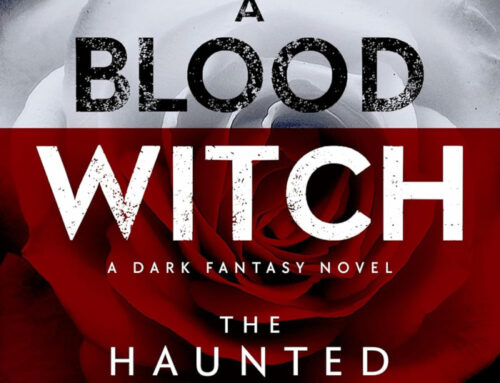 A Blood Witch by Joseph Stone