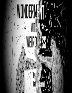 Wonderment Within Weirdness by Jaime David 