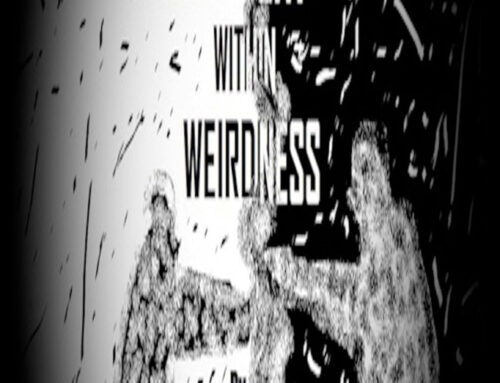Wonderment Within Weirdness by Jaime David