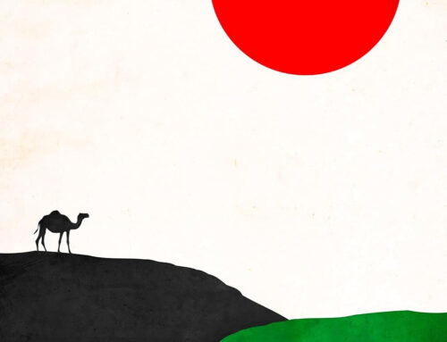 Afghani by Brendon Patrick