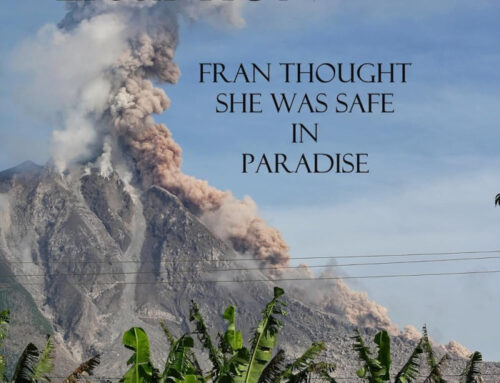 Cerebral Eruption in Paradise by Fran Feavel Merkel