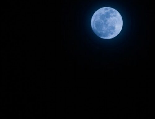 Brautigan’s Blue Moon by Jack Phillips Lowe