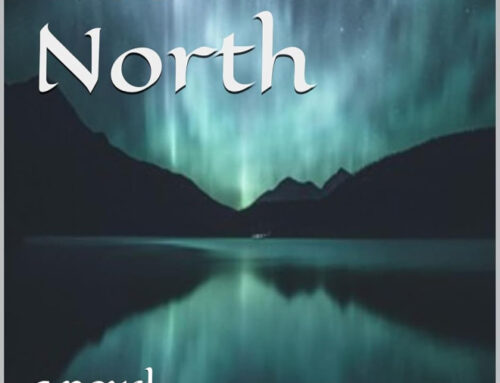 Rivers of the North by Jeffrey W. Tenney
