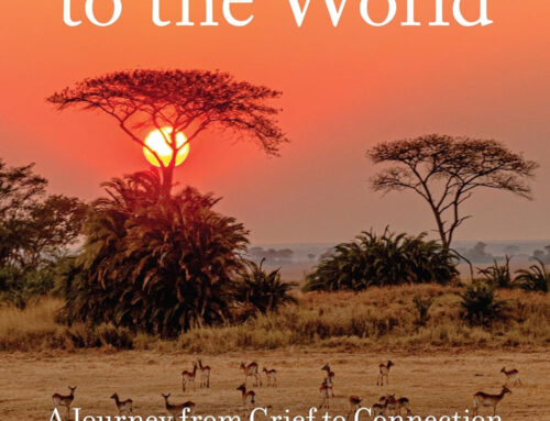 Review: Belonging to the World by Barry Hoffner