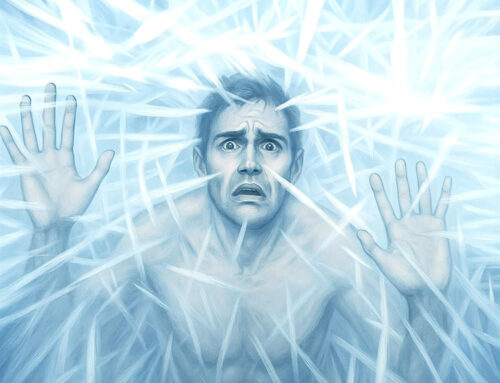 Review: Revenge on Ice by Linda LeBlanc