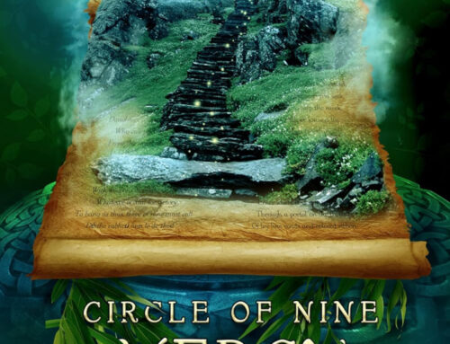 Circle of Nine: Mercy in the Mist by Valerie Biel