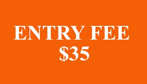 SPR Awards Entry Fee Early Bird Entry Fee