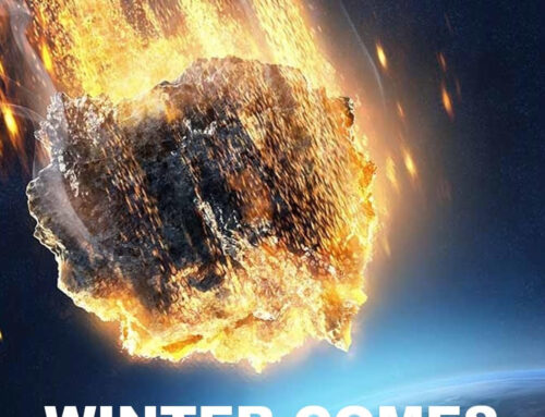 Review: Winter Comes in June by David Crane