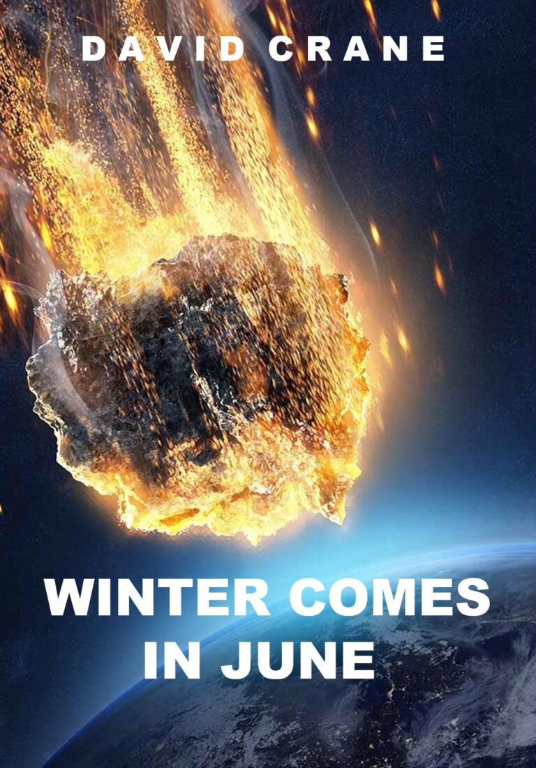 Winter Comes in June by David Crane