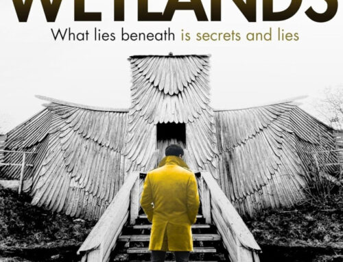 The Wetlands by J.J. Richards