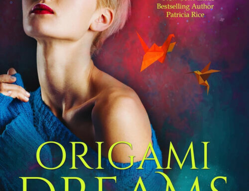 Origami Dreams by Donna June Cooper