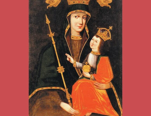 Review: The Secret Code of the Gospel by Albert Seidel