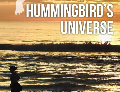 Review: Chasing the Hummingbird’s Universe by G.E. Russell